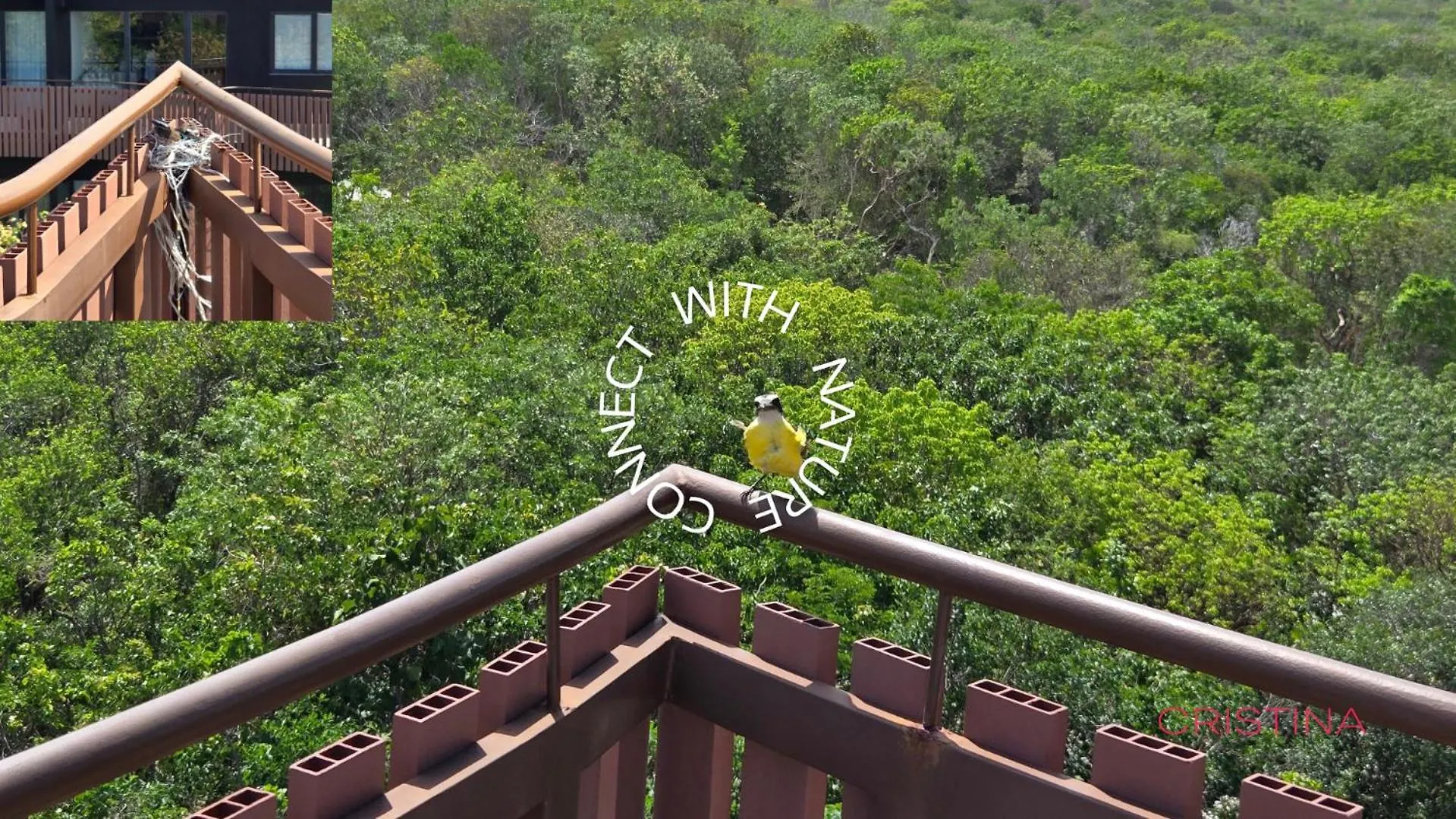 Designer Cave Condo With Beach Club Included - Hotel Zone Tulum Meksika
